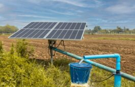 MP Pushes To Provide Solar Pumps To 30L Farmers Over Next Three Years