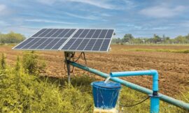 PM-KUSUM: Bhagyanagar Wins 65.7 MW UP Solar Projects