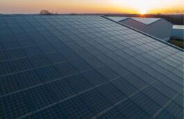 Germany Sets New Price Ceilings for 2025 Renewable Energy Auctions