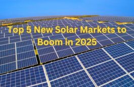 Rising Solar Stars: Top 5 Sub 10 GW Solar Markets For 2025