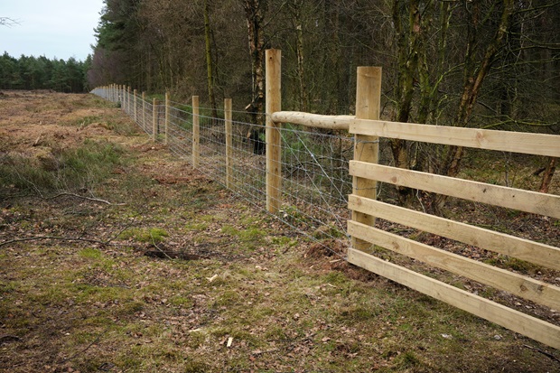 AP To Use Solar Fencing To Reduce Human-Jumbo Conflicts