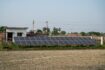 SANY Unveils Africa’s Largest Solar-Storage-Diesel Microgrid