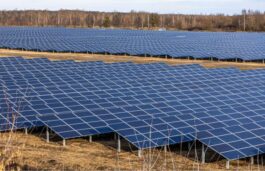 Poly Medicure, AMPIN Form JV For Haryana Solar Project