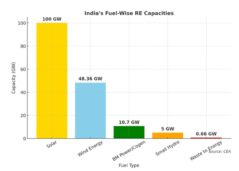 India Adds 18.5 GW Of New Solar Capacity In 10 Months Of FY25