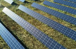 Assam Discom Issues Tender For 1 GW Solar project