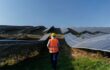 Nexwell Acquires 248 MWp Solar Assets from Q Energy