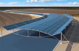 Delhi Plans Solar Panels over Munak Canal To Check Water Loss